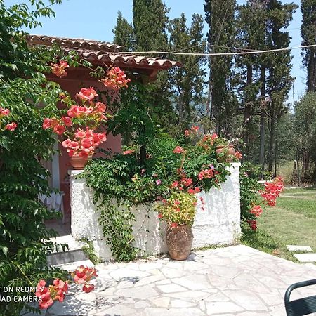 Appartamento Errika Ipsos Esterno foto